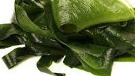 10 Different Types Of Edible Seaweed With Images Asian Recipe
