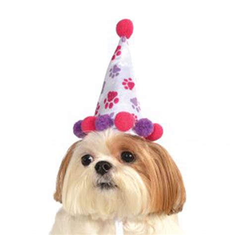 Girl Paw Print Birthday Dog Hat Baxterboo