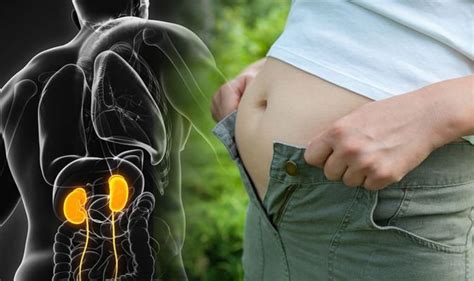 Stomach Bloating When Your Bloated Tummy Could Be A Sign Of Kidney Failure Express Co Uk