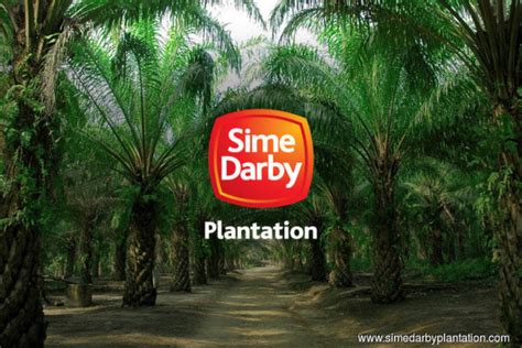 Sime darby plantation berhad entity with fitch analyst adjusted financials as featured on fitch ratings. Sime Darby Plantation confirms Melaka court granted leave ...