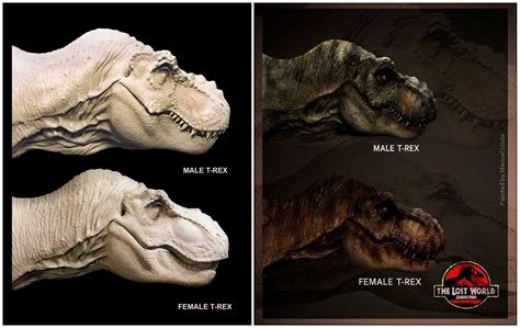 Just Like With The Nasutoceratops Male And Female Id Love To See A