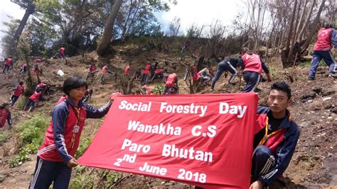 National Social Forestry Day World Scouting