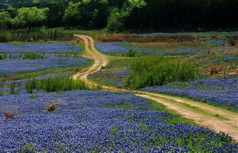 Photo By Allen Burney ~ Muleshoe Bend Recreation Area Spicewood Tx