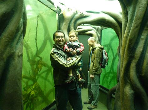 Zoo Aquarium Of Bristol The Aquarium Tunnel Walk Is Thrill Flickr