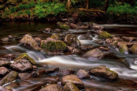 A Fast Flowing River Stock Photo Image Of Nature Holiday 119105034