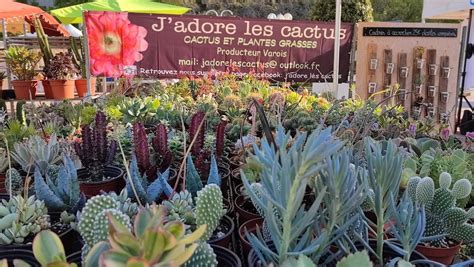 Jadore Les Cactus La Crau Atelier Usine Marques De France