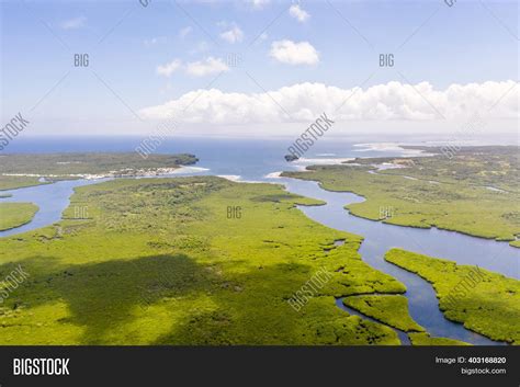 Mangroves Rivers Image And Photo Free Trial Bigstock