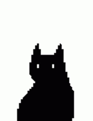 Black Cat Dance Sticker Black Cat Dance Descobrir E Compartilhar GIFs