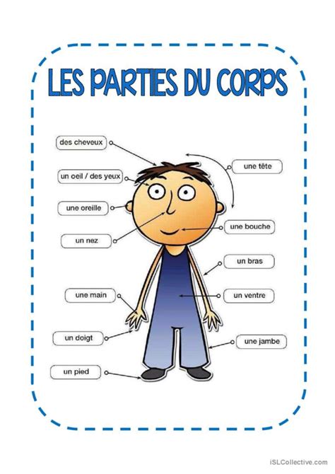 Les Parties Du Corps Dictionnair Français Fle Fiches Pedagogiques Pdf