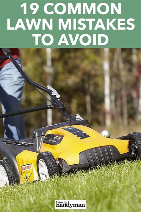 20 Most Common Mistakes People Make With Their Lawn Lush Lawn Lawn