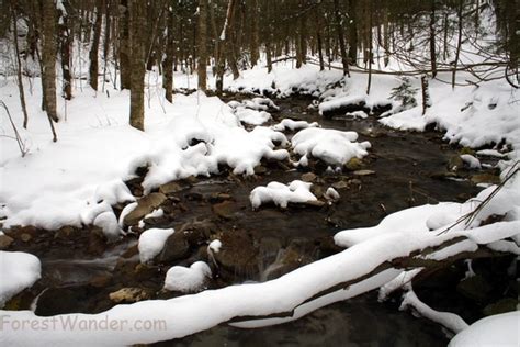 Snowy Creek Tree Creeks And Streams Free Nature Pictures By