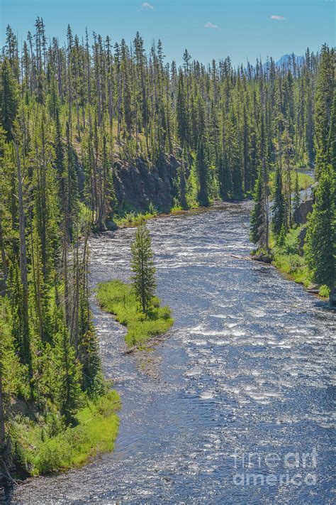 2 The Snake River Flowing Through The Forest In Yellowstone National