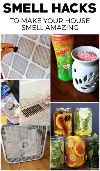 10 Hacks To Make Your House Smell Amazing 99easyrecipes