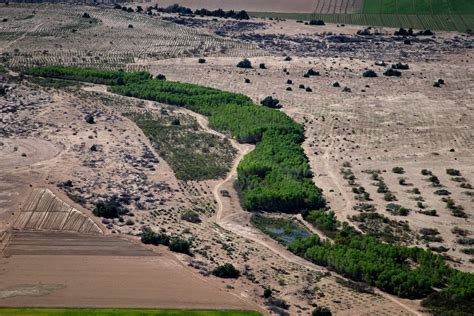 how mexico s dry colorado river delta is being restored piece by piece