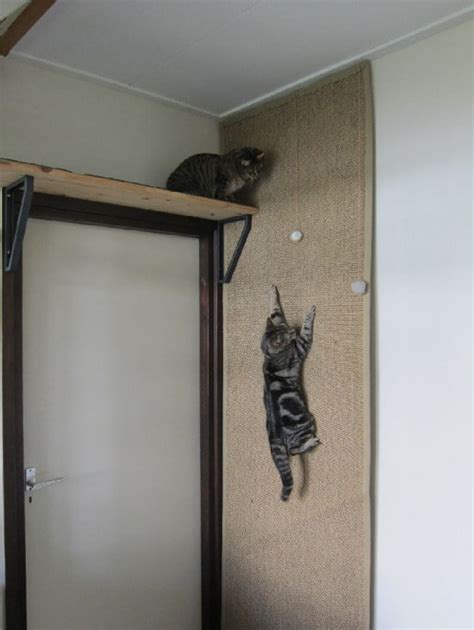 How to make cat stairs diy. Feline Love: Adorable DIY Projects for Cat Owners