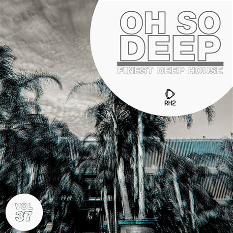 Various Artists Oh So Deep Finest Deep House Vol 37 2023 Softarchive