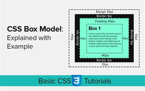 The Css Box Model Explained With Examples Vrogue