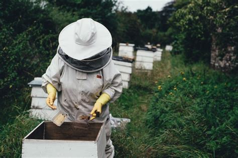 Beekeeperapiarist Agriculture Careers
