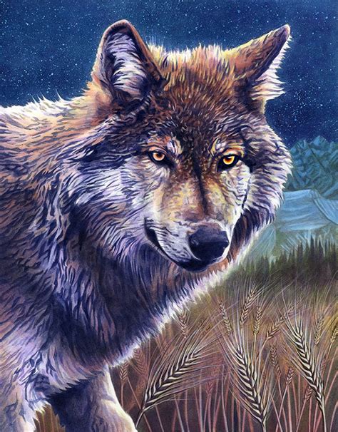 Alan Hawley Illustration Wolf Acrylic Painting