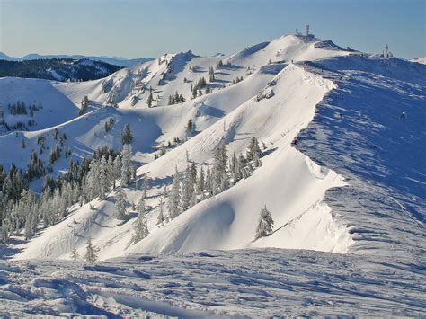 Alpine Meadows Opens Friday Top To Bottom Snowbrains