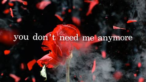 Toldyou You Dont Need Me Anymore Feat Danny Ogrady Official Lyric