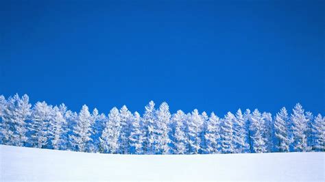 1080p Winter Wallpaper Wallpapersafari