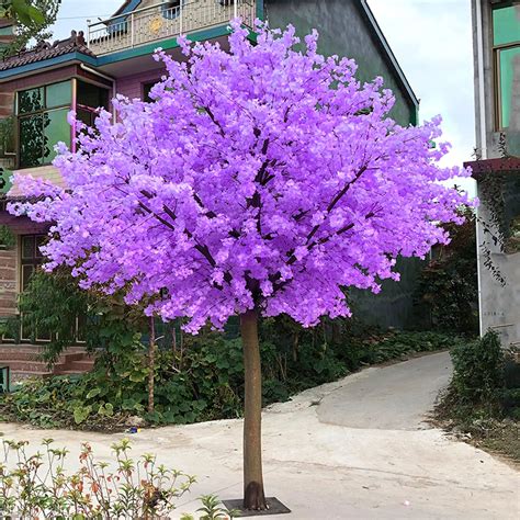 Purple Cherry Blossom Tree Ubicaciondepersonascdmxgobmx