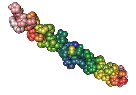 Collagen Pics - Protein PortraitsProtein Portraits