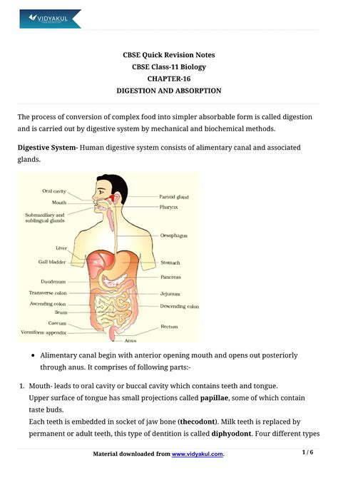 Class Chapter Note On Digestion And Absorption Biological World My