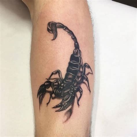 See more ideas about scorpio tattoo tattoos scorpio. Top 50 Scorpion Tattoos For Scorpio Zodiac (2018) | TattoosBoyGirl