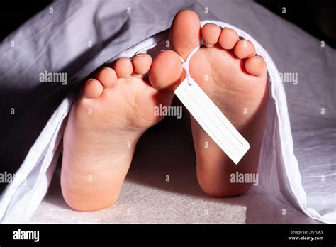 Morgue Corpse High Resolution Stock Photography and Images - Alamy