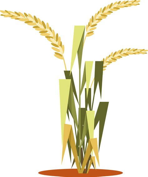 Rice Crop Clipart Png