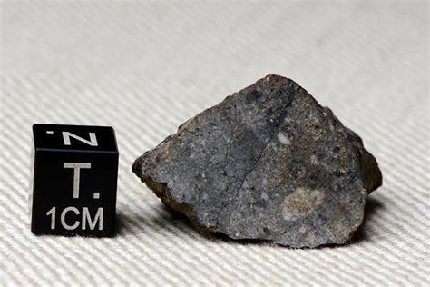 Dhofar 055 135g Explore Meteorite