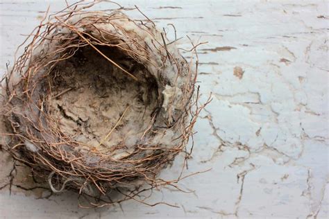 6 tips for coping with empty nest syndrome rest less