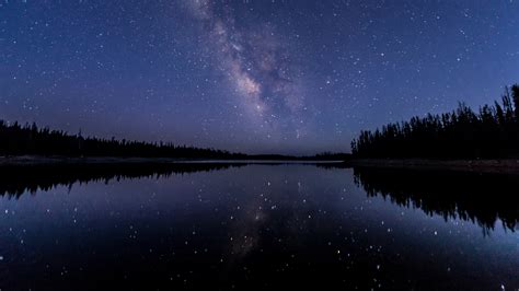 2560x1440 Forest Milky Way Night Reflection Over River