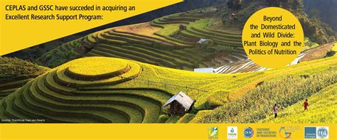 Accueil > compétences > encyclopédie des compétences > sciences naturelles (domaine) > cuisine (compétence). Competence Area "Food Security"