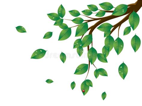 Green Leaves Tree Branch Stock Vector Illustration Of Outdoors