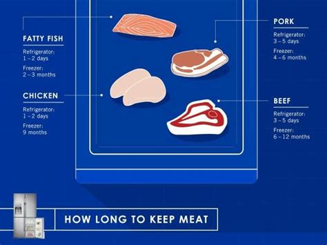 How long does zucchini last in fridge: How long to keep meat in the fridge or frozen | Cooking ...