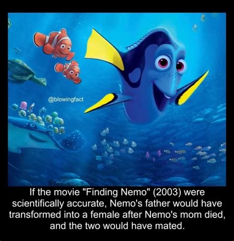 On If The Movie Finding Nemo 2003 Were Scientifically Accurate