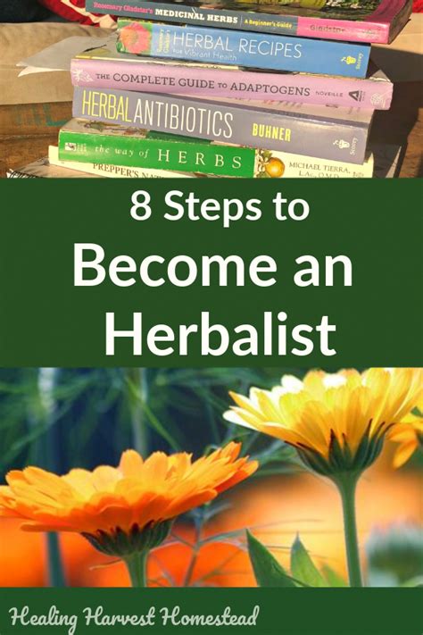 So You Want To Become An Herbalist Here Are Eight Simple Steps Youll