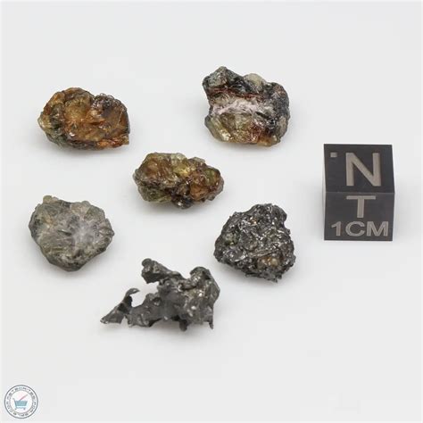 Admire Pallasite Meteorite Nuggets Admc 21