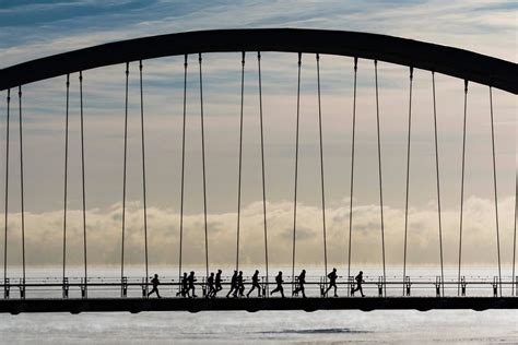 Toronto Joggers Bing Wallpaper Download