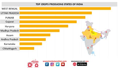 Top 10 Agriculture States In India Largest Crop Producing States 2022