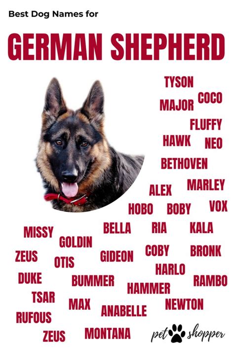The German Shepherd Dog Names Poster