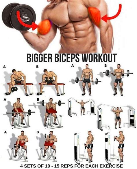 Biceps Workouts Made Better Exercises Big Biceps Workout Biceps