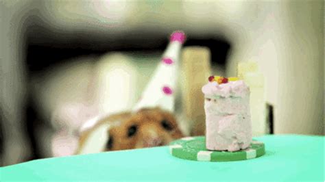 Happy birthday gif is one of the popular ways to celebrate someone's birthday if you cannot come to their party. Birthday Cake GIFs - Find & Share on GIPHY