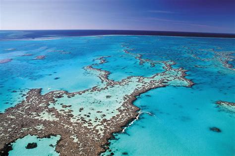 Hump Day Facts The Great Barrier Reef Australia Outback Yarns