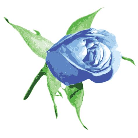 Blue Rose Vector Image Free Svg