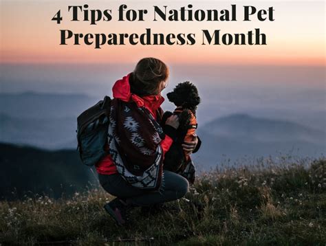 National Pet Preparedness Month Windermere Animal Hospital