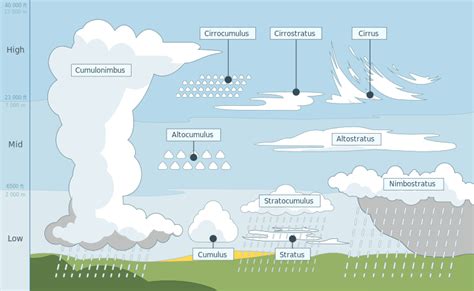 Clima Y Nubes Diagram Quizlet